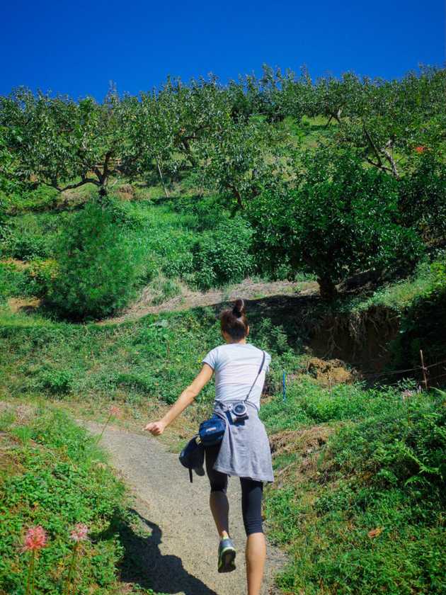 hiking in kansai